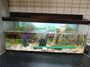 Lincoln: Tam komplekt akvarium seti - Şüşə akvarium, üst qapaqlı - Daxili — 6