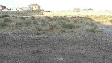 binə kirayə evlər 2025: 6 sot, Biznes üçün, Mülkiyyətçi, Bələdiyyə — 9