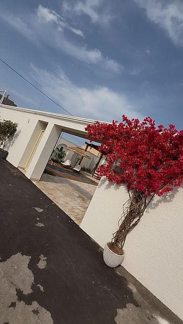 elcom dubai original: Bağ evi kirayə verilir, Mərdəkan Mərdəkanda yerləşən isti, hovuzlu bağ — 10