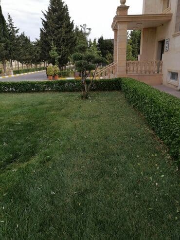 работа уборщицы на неполный рабочий день: Salam aleykum Adim Sahib 44yaşim var Bakıda yaşayiram Baki etrafi — 25