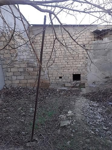 bag evleri: Sumqayıt Esmira şadlıq eviylə üzbəüz yoldan 80 -100 m aralıda 2 otaqlı — 9