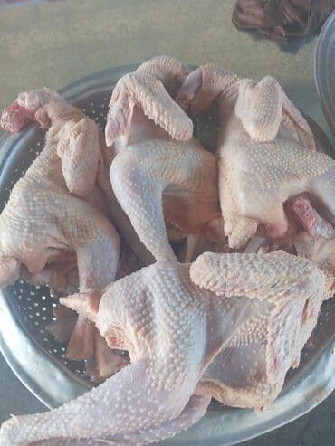 alça turşusu qiyməti: Məhsul: Ev üsulu konservlər və təzə kəsilmiş toyuq Təsvir: - Şüşə — 2