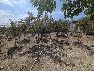 xacmaz torpaq satışı: Tikinti, Mülkiyyətçi — 5