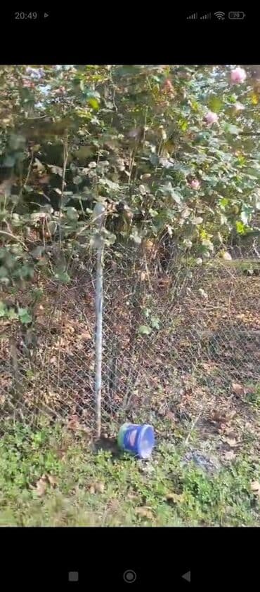 zig qesebesinde heyet evleri: Salam .8sot həyət ev qarışığ yol qırağı satıram — 5