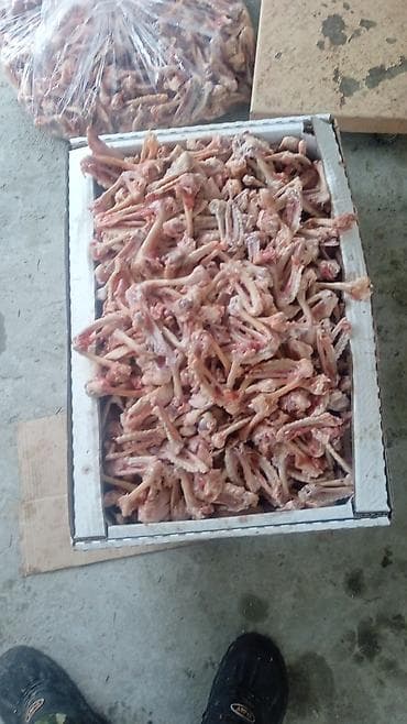 toyuq əti: Məhsul: Dondurulmuş toyuq sümükləri (qanad və skelet hissələri) — 1