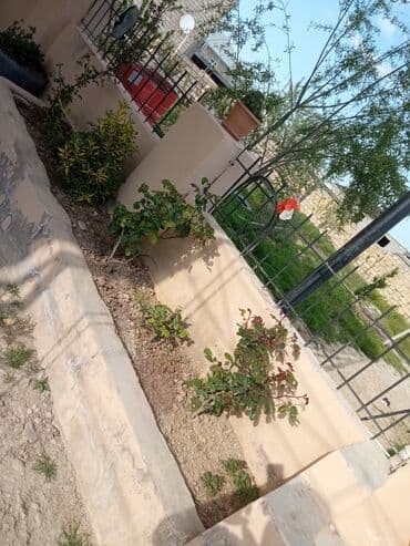 xacmazda evlər: Zeynalabdin Tağıyev, 120 kv. m, 4 otaqlı, Hovuzsuz, Qaz, İşıq, Su — 16