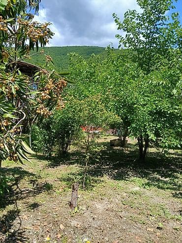 2 saatliq kiraye ev: 4 sot Biznes üçün, Qaz, İşıq, Su — 3