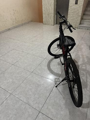 mini velosiped: Goose Captiva dağ velosipedi - Çərçivə: yüngül və möhkəm alüminium — 4