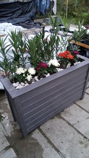 мох: Dibçək #dibcək gül gabi цветочницы Taxta dekorativ çiçək — 6