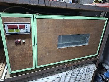 inkubator 56: Avtomatik inkubator – rəqəmsal idarəetmə paneli ilə - Model üzərində — 4