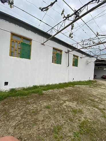 bine savxozda ucuz evler: Şirvan şəhəri çıraq petrola yaxın 11 sot heyet evi satılır 1 heyetde 2 — 9