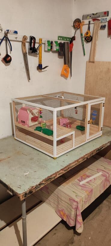 balaca dovşan: Yeni yığılıb dovşan,siçan,xomyak,hamster ve S ev heyvanları üçün — 2