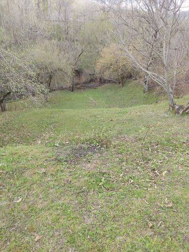 cennet park musfiq qesebesi: Satılır: təbiət qoynunda yaşıllıqla əhatələnmiş torpaq sahəsi — 6