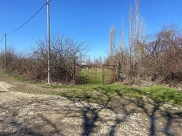 Kənd təsərrüfatı