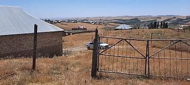 basavik satisi: 6 sot, Kupça (Çıxarış) — 2