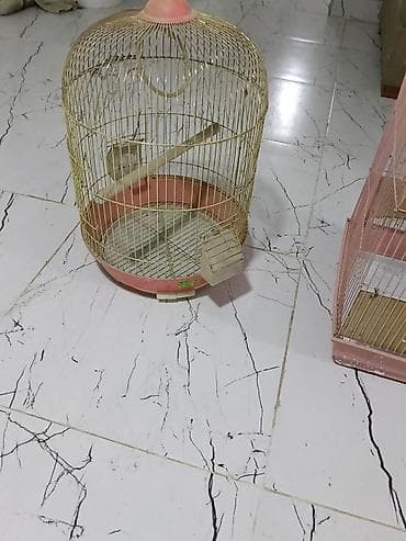 cex qus: Quş qəfəsləri – 2 ədəd dəst - Model 1: Dairəvi formalı, üst hissəsi — 3