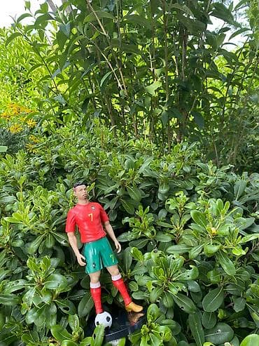 profil sekilleri futbol: Fiqur, Plastik — 9