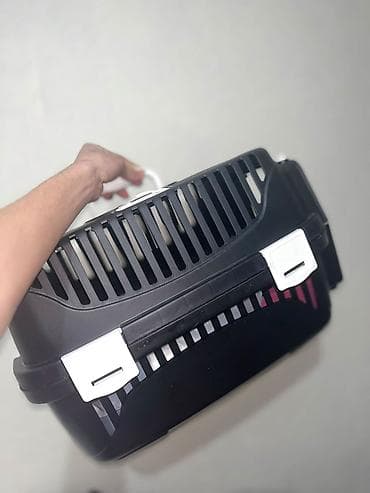 cau cau qiymeti: İt qçün dux dırnaq tutan 2ədəd tasma 4ədəd yemekqabı daşnma çanta — 4