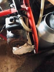 iney sagan aparat: Tək bidon, Türkiyə, Paslanmaz bidon — 2