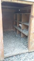 большая клетка для кролика: Kocle bagli satilir mosnu qusxanadi her terefi qalin dikle yigilib — 3