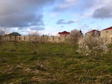ist petrol tbilisi prospekti: 25 sot, Tikinti, Kupça (Çıxarış) — 5
