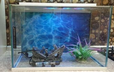 akvarum balıqları: Dördbucaq akvarium, Boş, 70 l — 3