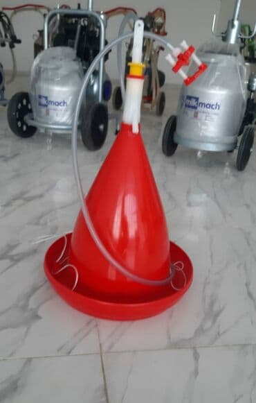 Yem qabı, Su üçün, Quşlar üçün, Ödənişli çatdırılma, Rayonlara çatdırılma