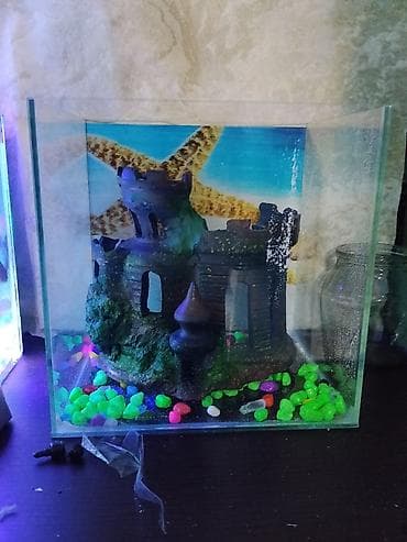 akvarum baliqi: Dördbucaq akvarium, Boş, 20 l — 1