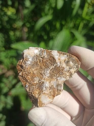 Milyon İllik Tarixi Fosil 💎 Daşlaşmış Ağac ( Petrified Wood ) 🪵 ✨ Bu — 6