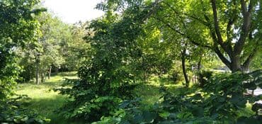 объявления о продаже земельных участков: 10 соток, Для строительства, Собственник, Купчая — 21