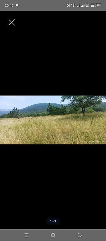 kurdaxanida heyet evleri: Kənd təsərrüfatı — 7