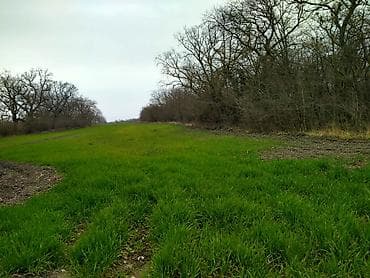 6 mk kiraye evler: 300 sot, Kənd təsərrüfatı, Mülkiyyətçi, Kupça (Çıxarış) — 3