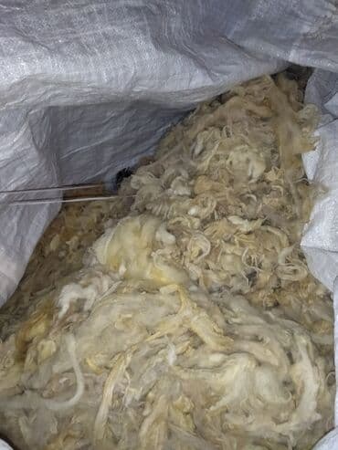 Məhsul: Qoyun yunu (yuyulmus qariwiq yun Təsvir: - Təbii qoyun yunu lalafo.az -da Məhsul: Qoyun yunu (yuyulmus qariwiq yun Təsvir: - Təbii qoyun yunu