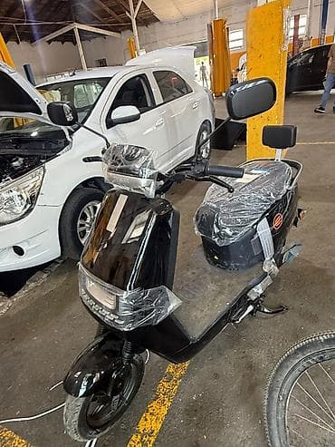 zigzag moped: - SAIGE — 4