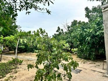 дачи в аренду посуточно: Баку, Пос. Паршаги, 100 м², 6 комнат — 10