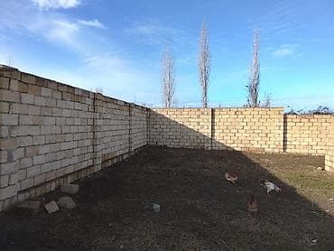 zabrat 1 torpaq: Kupça (Çıxarış) — 3