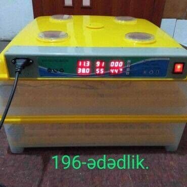 inkubator 56: Nkubator inkubatorlarin birinci əl satişi mağazamizda olan inkubator — 1