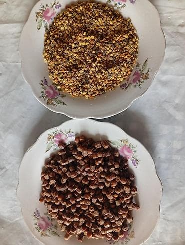 xirdalan gurcu xengeli: Məhsul: Arı çörəyi (perqa) və arı çiçəyi tozu (polen) Arı çörəyi – — 1