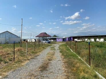 vasitəcisiz birbaşa sahibindən mənzil kirayələmək: Kənd təsərrüfatı, Mülkiyyətçi, Bələdiyyə, Kupça (Çıxarış) — 1