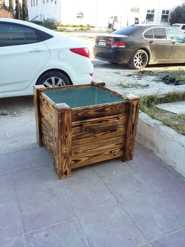 dibçek gulleri: Dibçək güldanlar. Dipçəklər bir başa sexdən.Sex qiymətinə. ♦️Endrim — 4