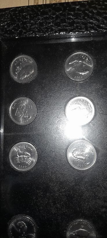 Somali 2007 ci il.il və ay burcler hesr llunmuș monetler.24 eded — 4