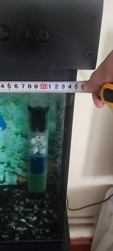 teleskop baliq: Böyük ölçülü akvarium komplekti 100 lt içinde daşı qizdirici Filtir — 3