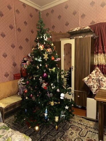 küknar ağacı: Yeni il ağacı 2metreden yuksekdir oyuncaqsiz satilir oyuncaqlari coxdu — 1