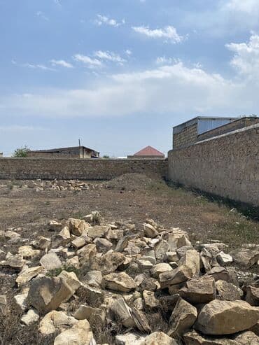masallı kirayə ev: 10 sot, Tikinti, Mülkiyyətçi, Kupça (Çıxarış) — 7