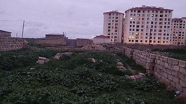 2 sot, Kənd təsərrüfatı, Mülkiyyətçi, Kupça (Çıxarış)