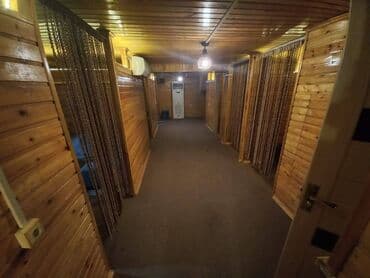 tendirxana icareye verilir 2025: Yeni Günəşlidə yerləşən ümumi sahəsi 1500 kv,m olan, yaxşı təmirli — 12