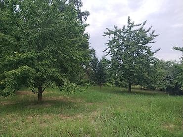qaradağ rayonu: 10 sot, Tikinti, Mülkiyyətçi, Kupça (Çıxarış) — 5