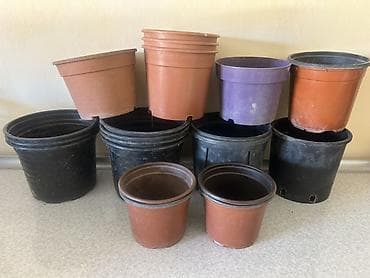 Plastik güldanlar dəsti - Məhsul: müxtəlif ölçülü plastik əkim lalafo.az -da Plastik güldanlar dəsti - Məhsul: müxtəlif ölçülü plastik əkim