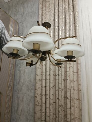 Bitkilər üçün dibçəklər: Çılçıraq — 1