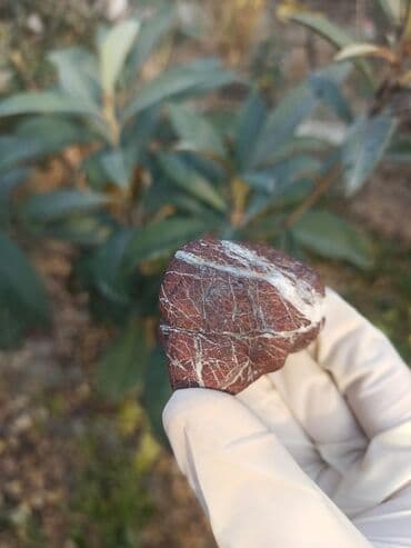 qızılın 1 qramının qiyməti 2022: 💎 Təbii JASPER Daşı😍 Qiymətlə bağlı maraqlananlar zəhmət olmasa — 8